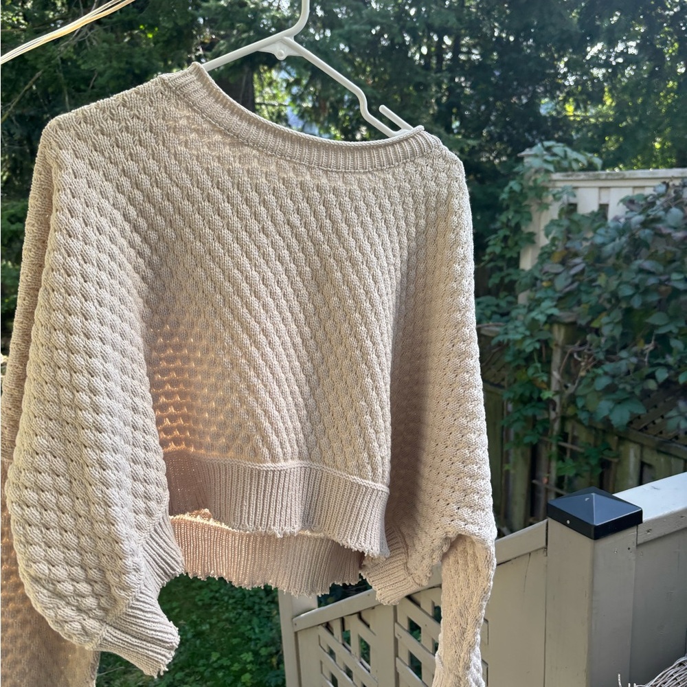 Latest Scoop distressed sweater